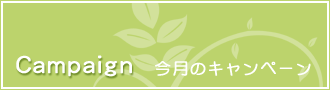 今月のキャンペーン
