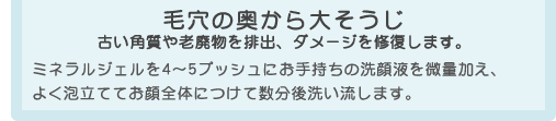 毛穴の奥から大そうじ。古い角質や老廃物を排出、ダメージを修復します。ミネラルジェルを4〜5プッシュにお手持ちの洗顔液を微量加え、よく泡立ててお顔全体につけて数分後洗い流します。